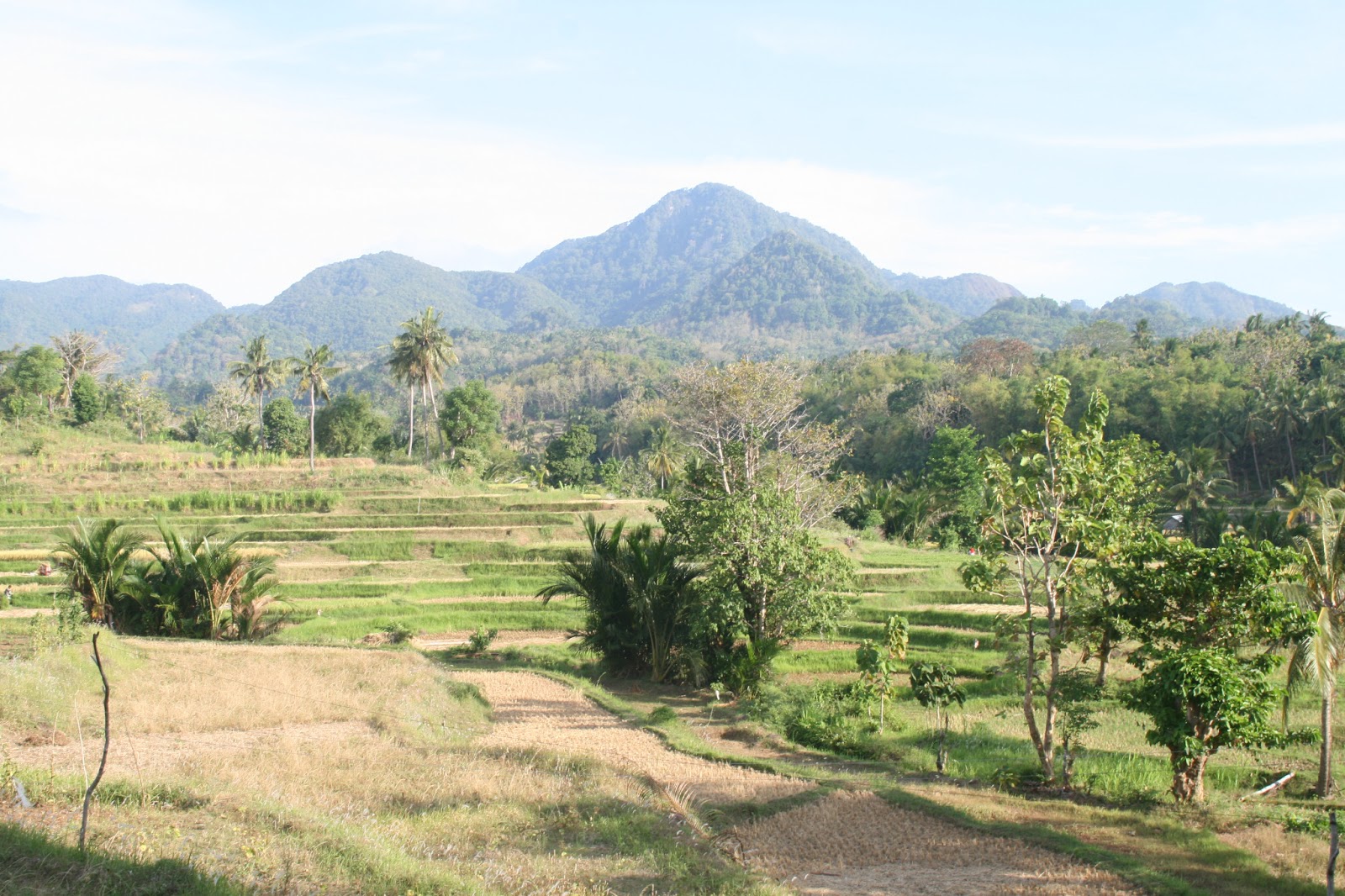 Kisah Guru Indonesia yang Mengajar di Daerah Terpencil